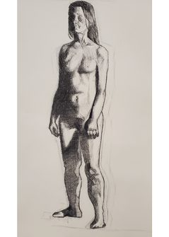 A charcoal drawing of a woman live model.